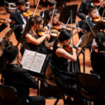 cemala-chamber-orchestra-usa_K8A1000-copy